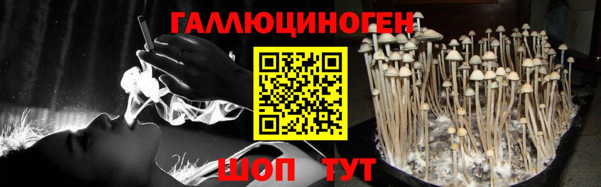 Галлюциногенные грибы MAGIC MUSHROOMS  Вход с VPN  Галлюциногенные грибы ЛСД  Белорецк 