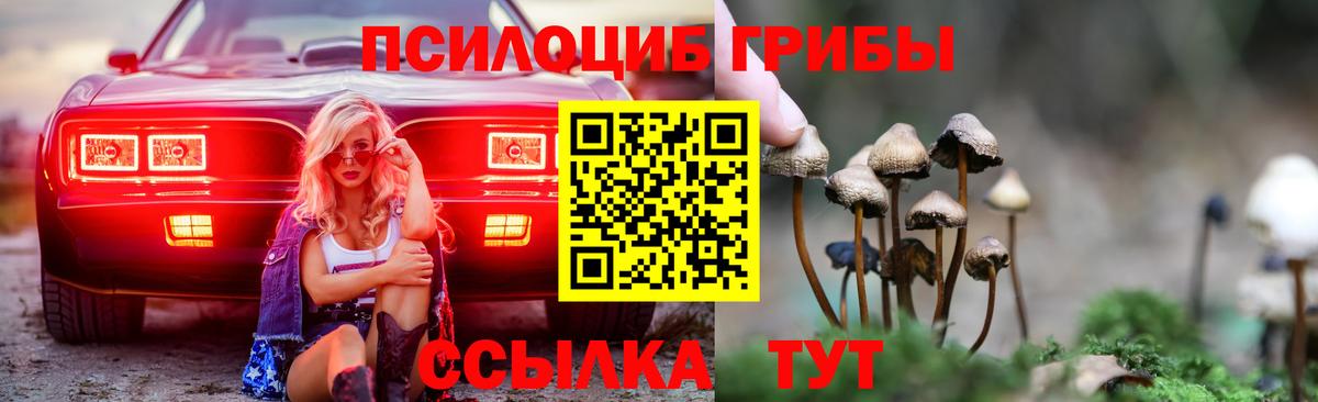 Галлюциногенные грибы GOLDEN TEACHER Белорецк